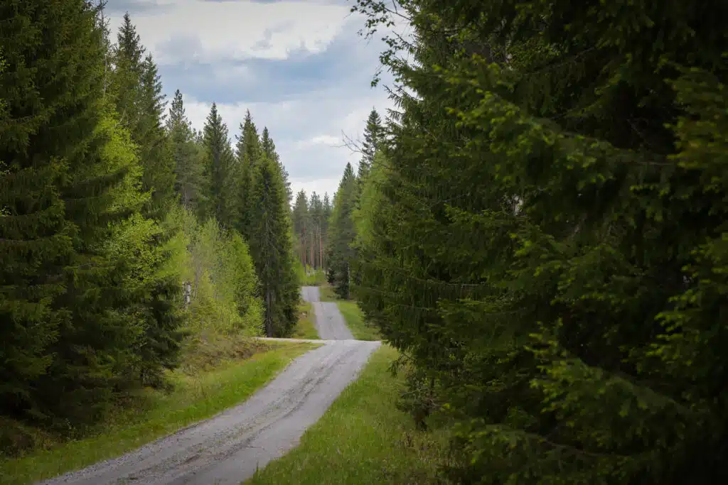 Rallikuskilta raju ulosajo Suomessa – "Jotkut kysyivät, onko tämä loppu" Rallikuskilta raju ulosajo Suomessa – ”Jotkut kysyivät, onko tämä loppu”