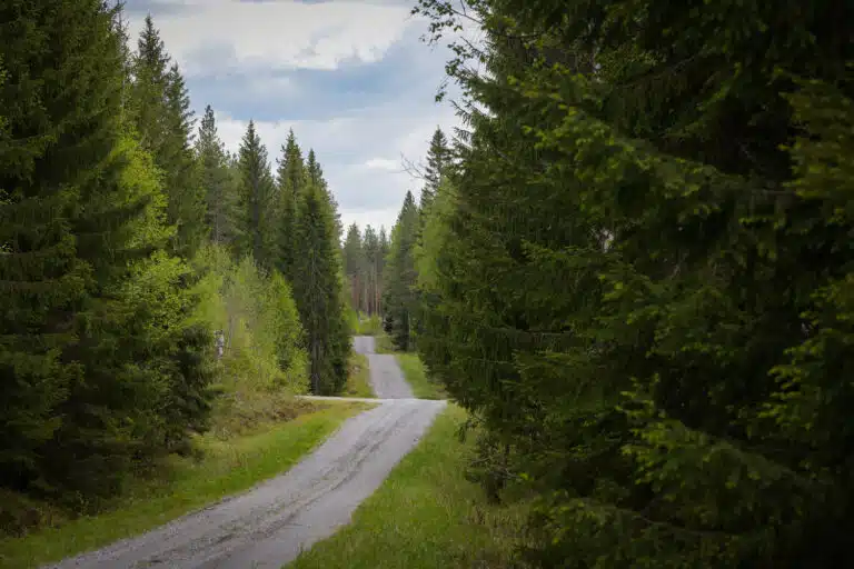 Rallikuskilta raju ulosajo Suomessa – ”Jotkut kysyivät, onko tämä loppu”